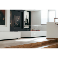 Vitrine cloche plexi