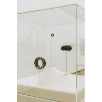 Vitrine cloche en verre