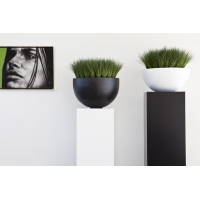socle noir, 35 x 35 x 100 (lxLxh)