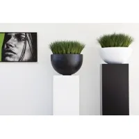 socle noir, 50 x 50 x 100 cm (lxLxh)
