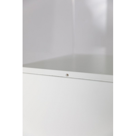 Vitrine cloche plexi