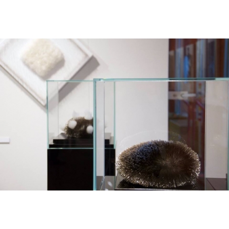 Vitrine cloche en verre Vitrine cloche en verre